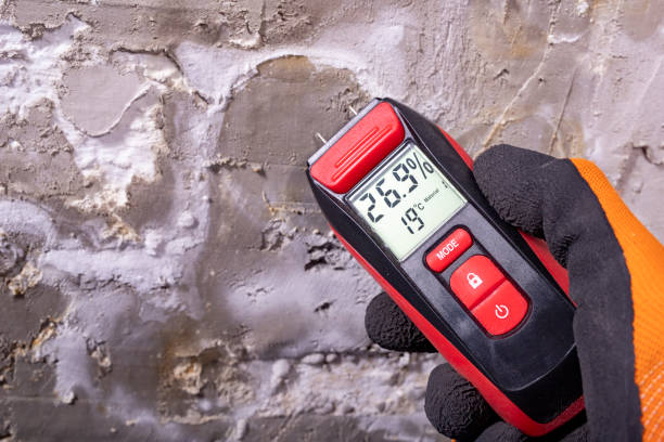 Best Mold Remediation for Schools in Beach City, TX
