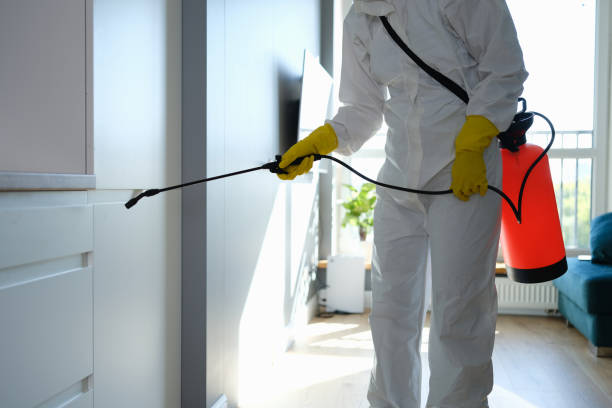 Best Post-Flood Mold Remediation in Beach City, TX