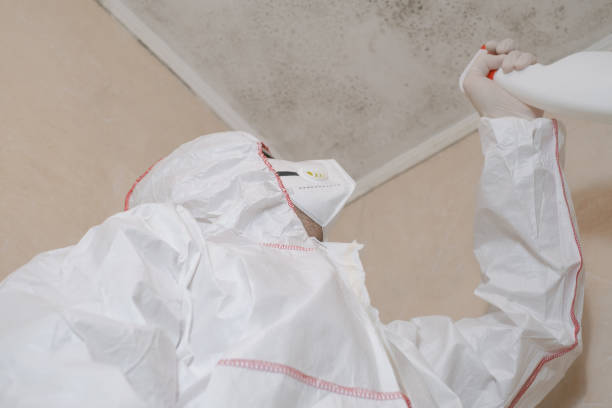 Best Health and Safety Mold Remediation in Beach City, TX